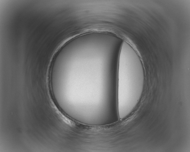 X0000072500803200607140935