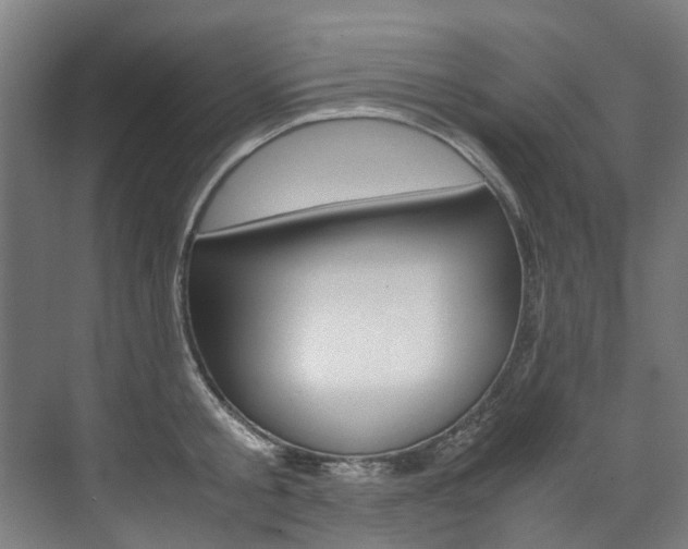 X0000072500805200607140935