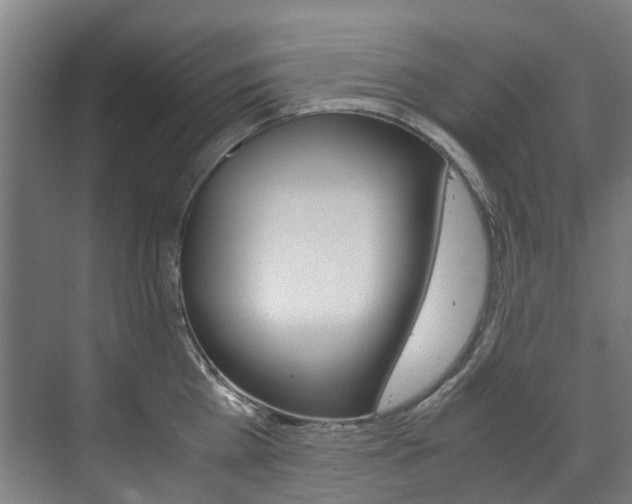 X0000072500809200607140935