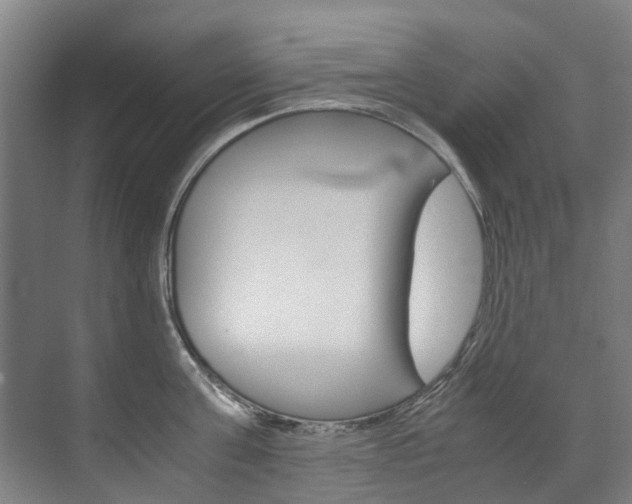 X0000072500811200607140934