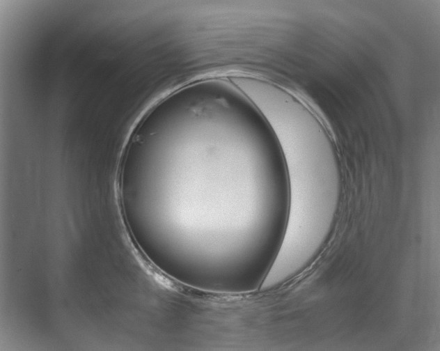 X0000072500813200607140934