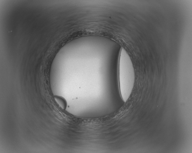 X0000072500817200607140934