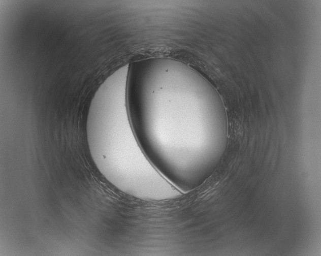 X0000072500818200607140934