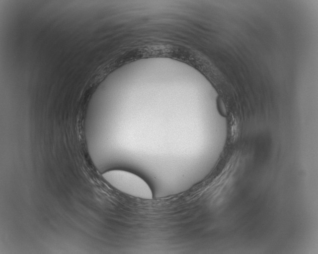 X0000072500819200607140934