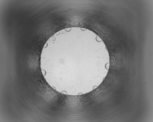 X0000072500820200607140934