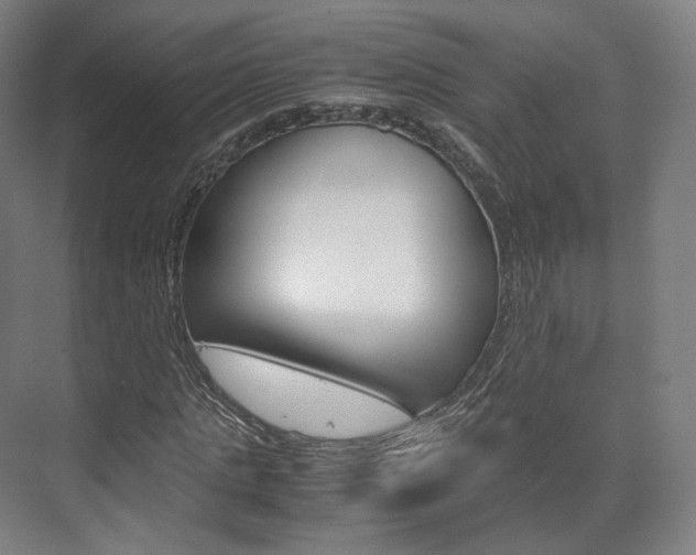 X0000072500821200607140934