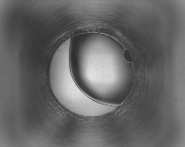 X0000072500822200607140934