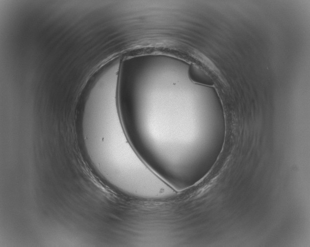 X0000072500826200607140934