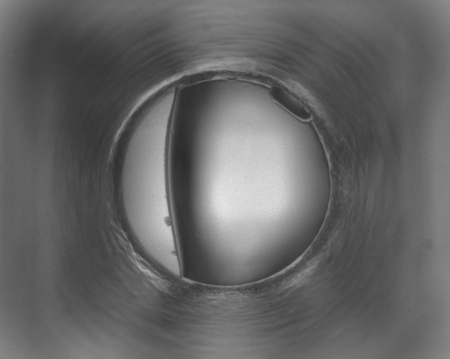 X0000072500830200607140934