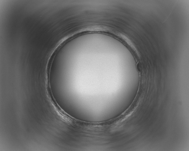 X0000072500837200607140934