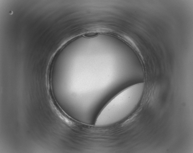 X0000072500843200607140934