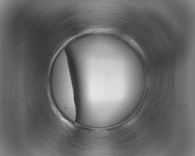 X0000072500844200607140934