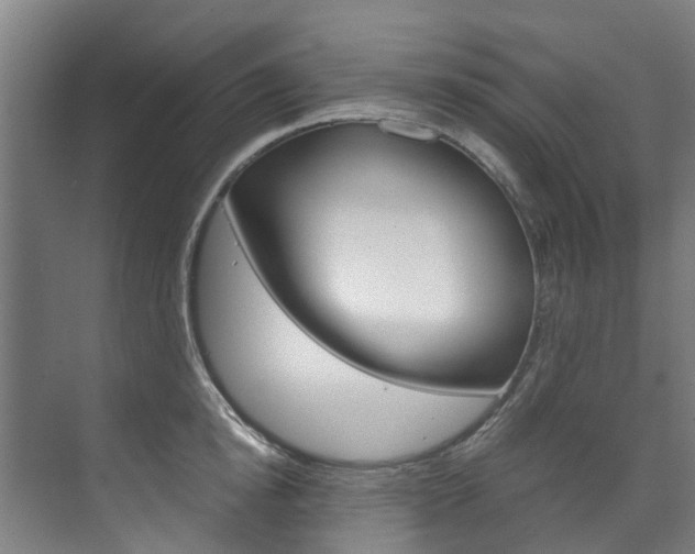 X0000072500854200607140934
