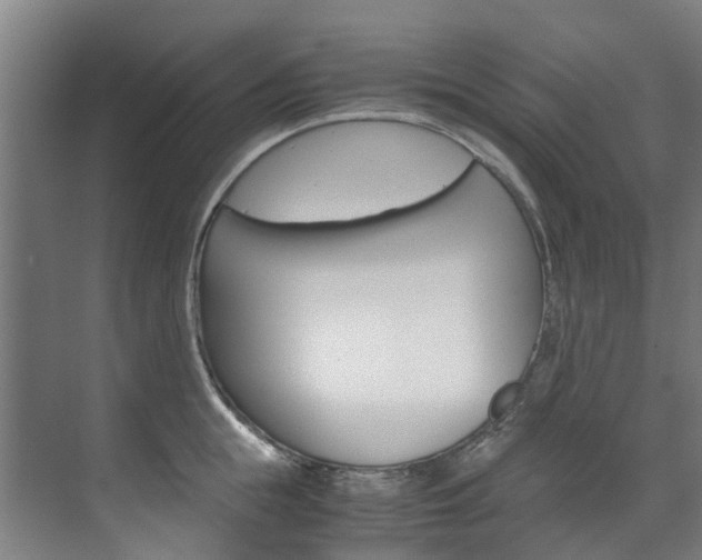 X0000072500855200607140934