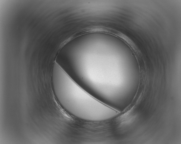 X0000072500857200607140934