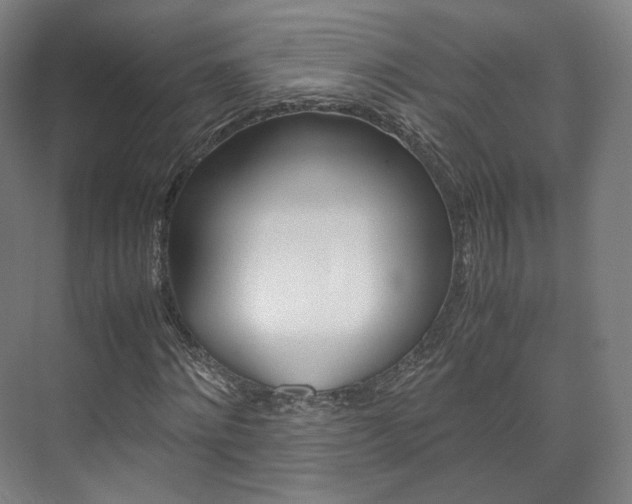 X0000072500868200607140934