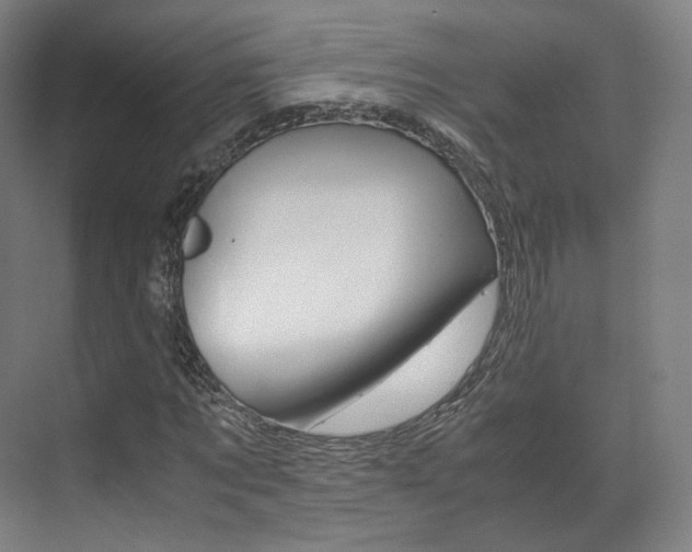 X0000072500869200607140934
