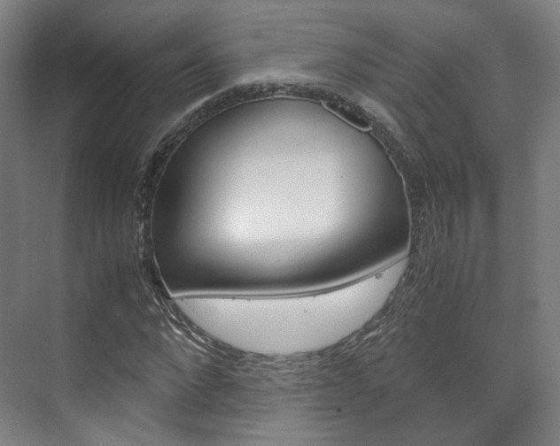 X0000072500872200607140933