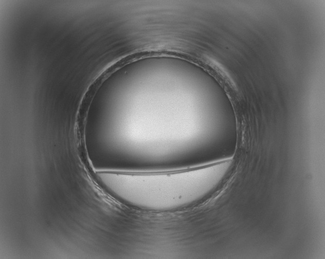 X0000072500876200607140933
