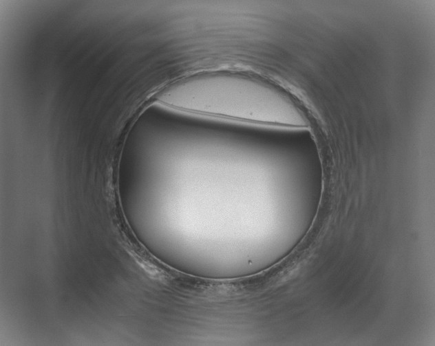X0000072500881200607140933