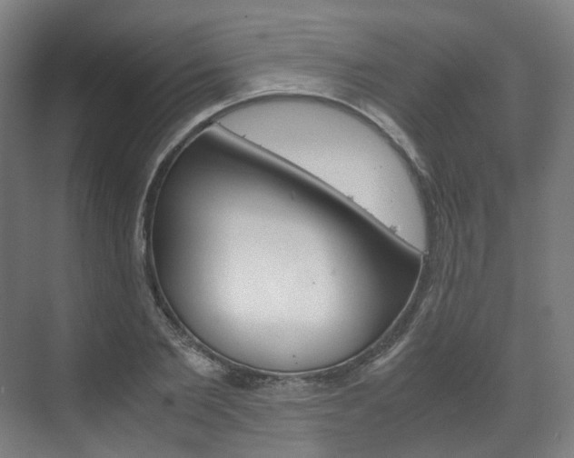 X0000072500885200607140933