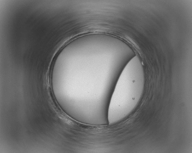 X0000072500891200607140933