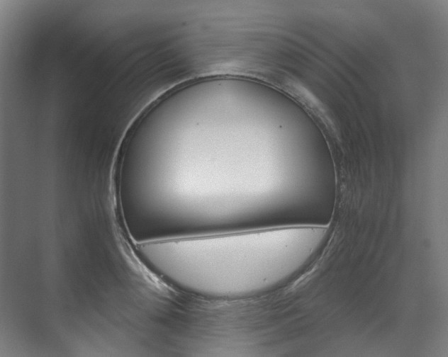 X0000072500892200607140933