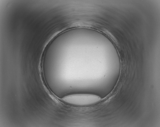 X0000072500893200607140933