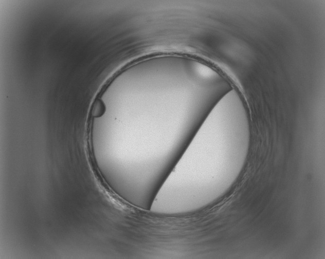 X0000072500895200607140933