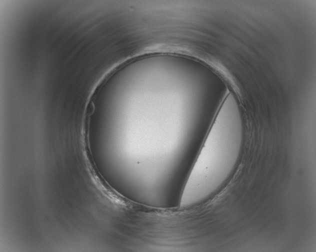 X0000072500896200607140933