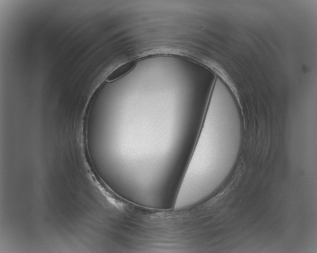 X0000072500898200607140933