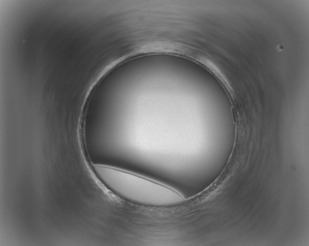 X0000072500901200607140933