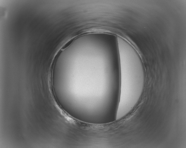 X0000072500909200607140933