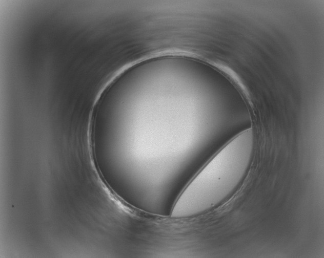 X0000072500910200607140933