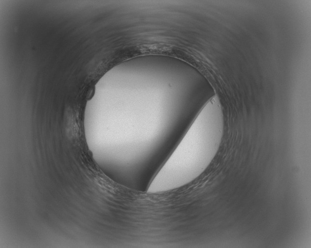 X0000072500915200607140932