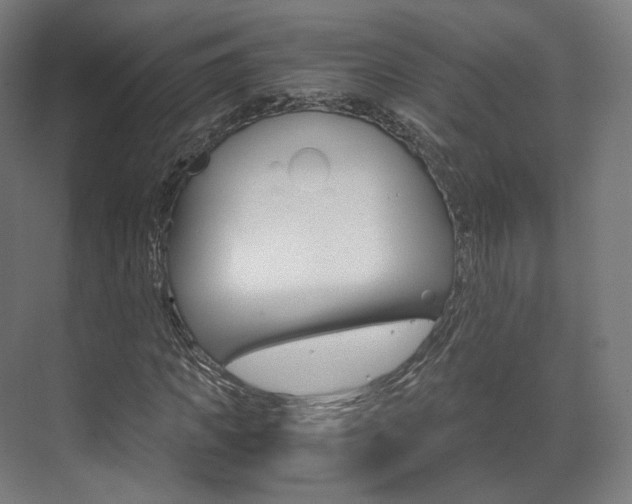 X0000072500917200607140932