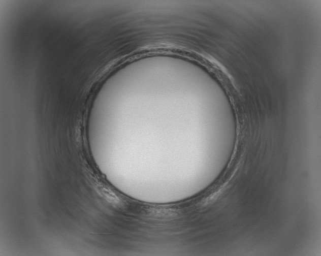 X0000072500921200607140932