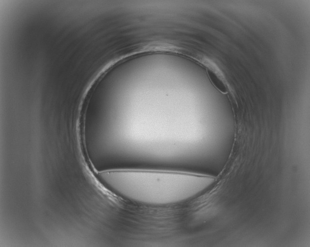 X0000072500947200607140933