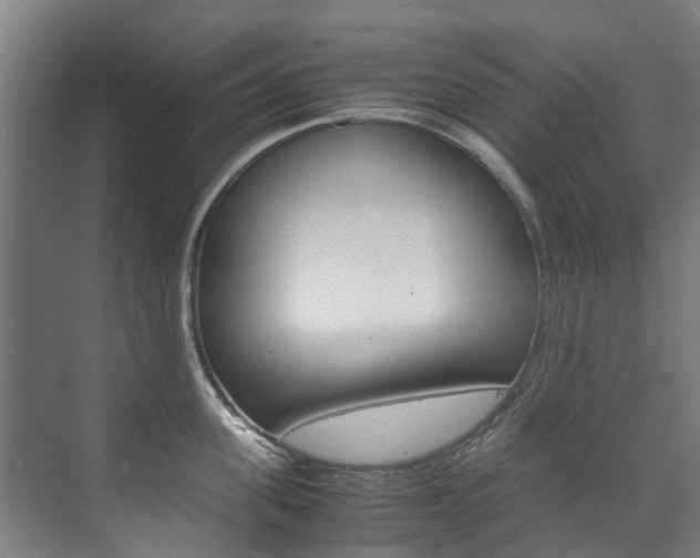 X0000072500955200607140933