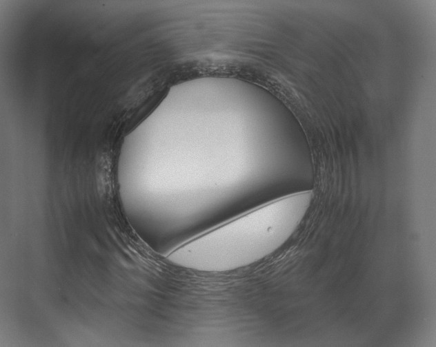 X0000072500964200607140932