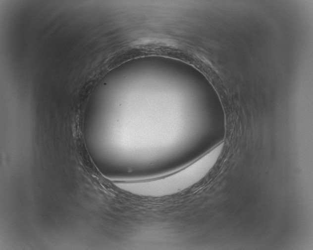 X0000072500965200607140932