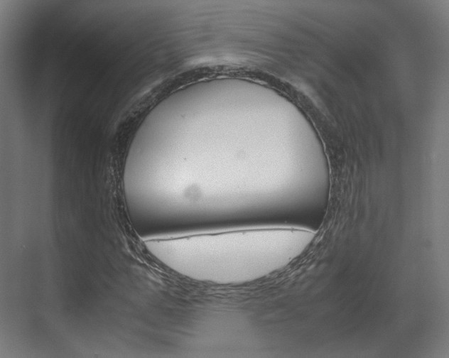 X0000072500967200607140932