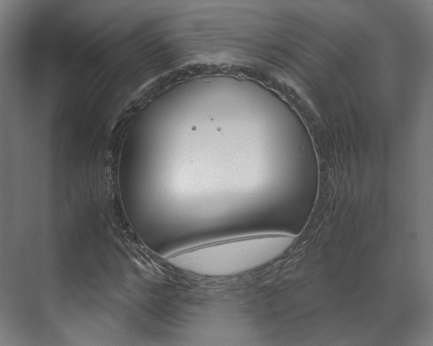 X0000072500968200607140932