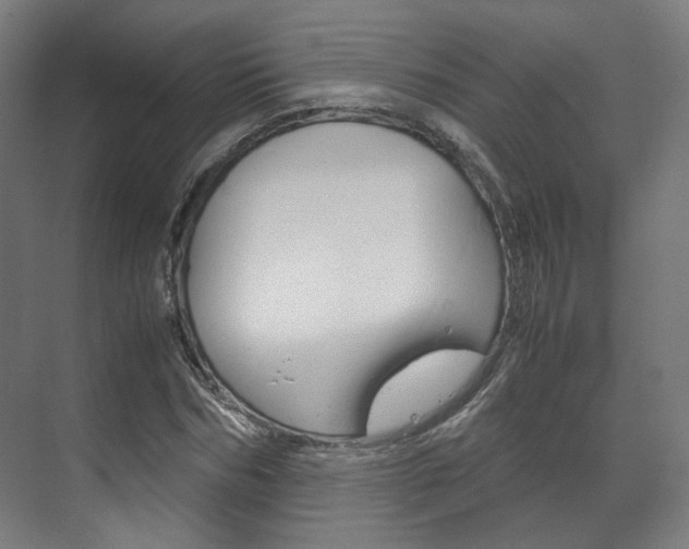 X0000072500970200607140932