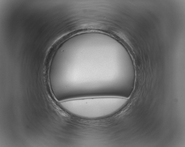 X0000072500971200607140932