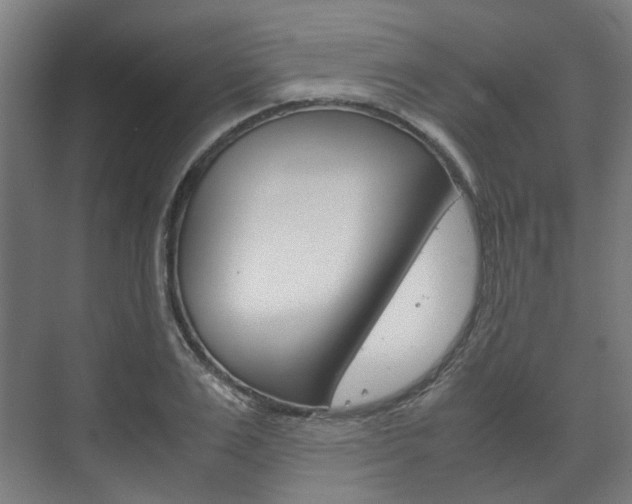 X0000072500983200607140932
