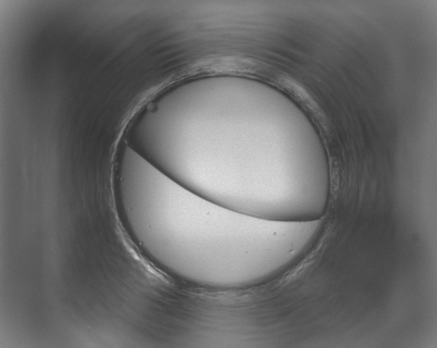 X0000072500986200607140932