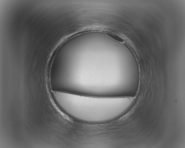 X0000072500989200607140932