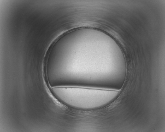 X0000072500991200607140931