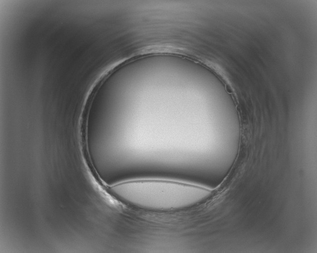 X0000072500995200607140931